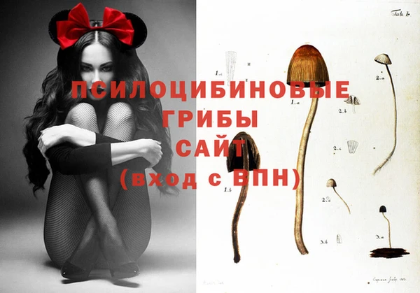 apvp Абаза